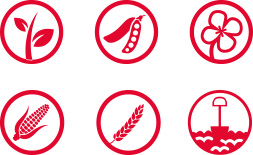 Ícones