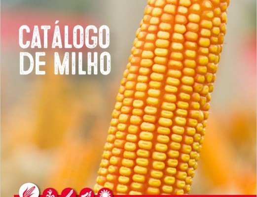 Catálogo de Milho 2025/2026