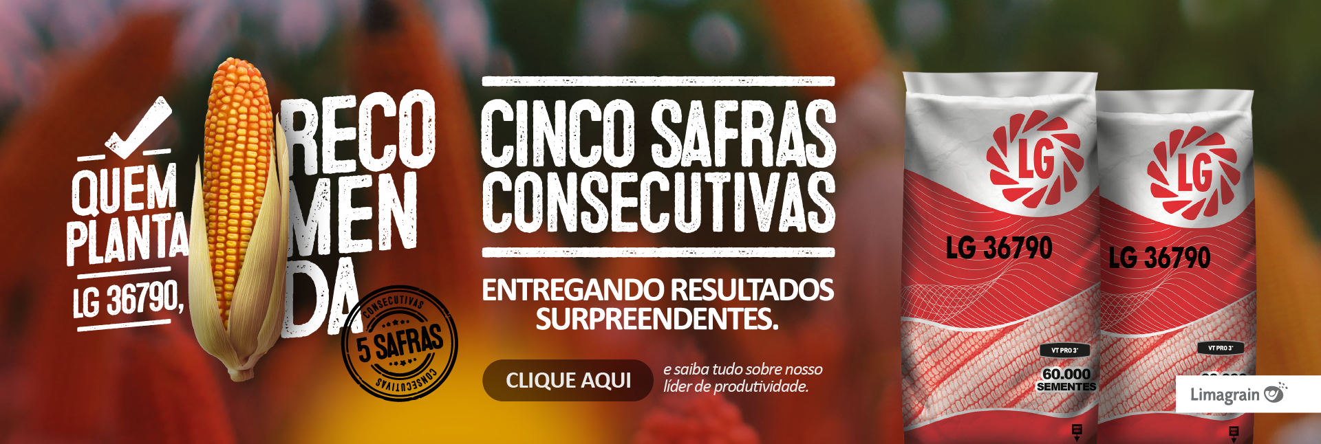 1586.4 Banner_site_novo_kv_36790 1.png