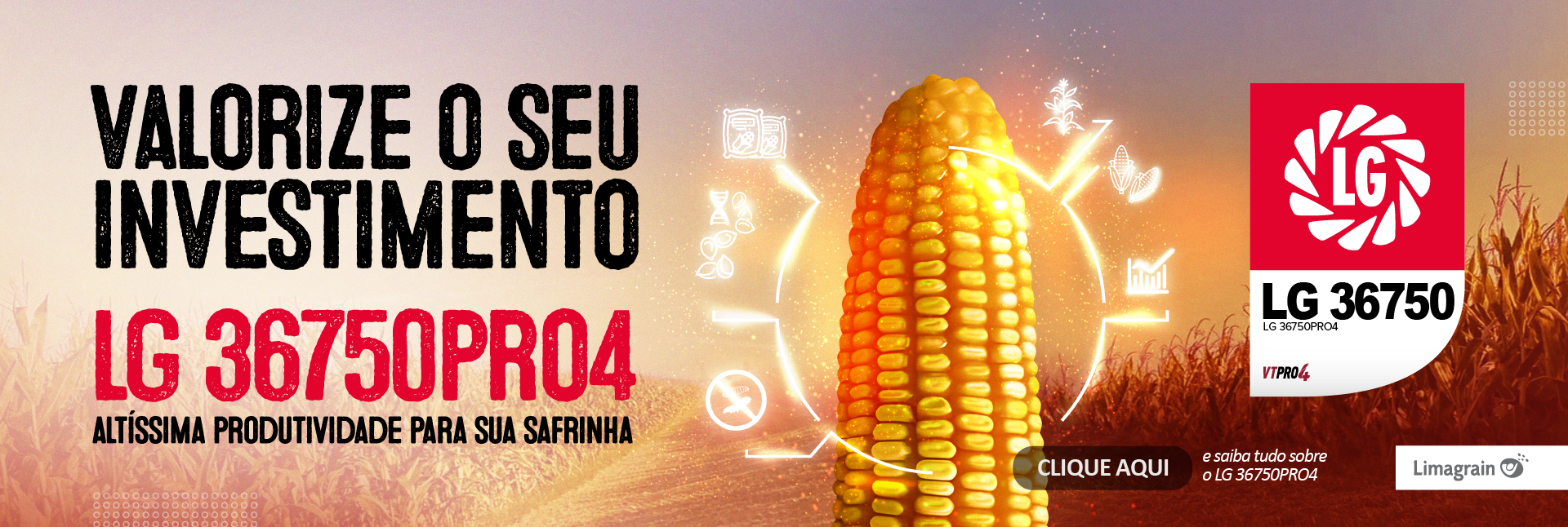 1619.2 Banner Site LG 36750_Prancheta 1.png