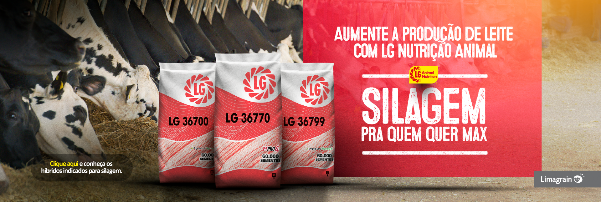 Banner Site Silagem_LAYOUT.png