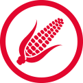 Maíz